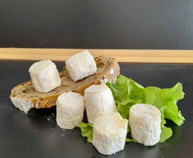 BOUCHON DE CHEVRE DU PERIGORD
