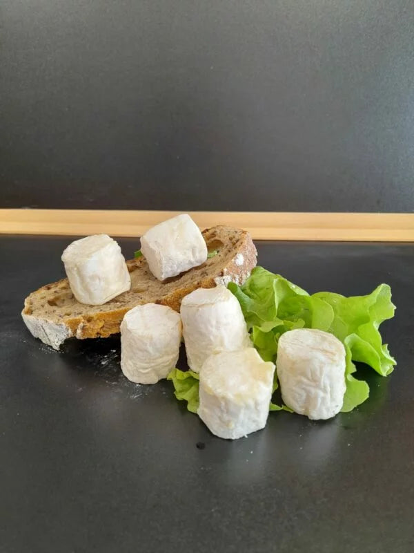 BOUCHON DE CHEVRE DU PERIGORD